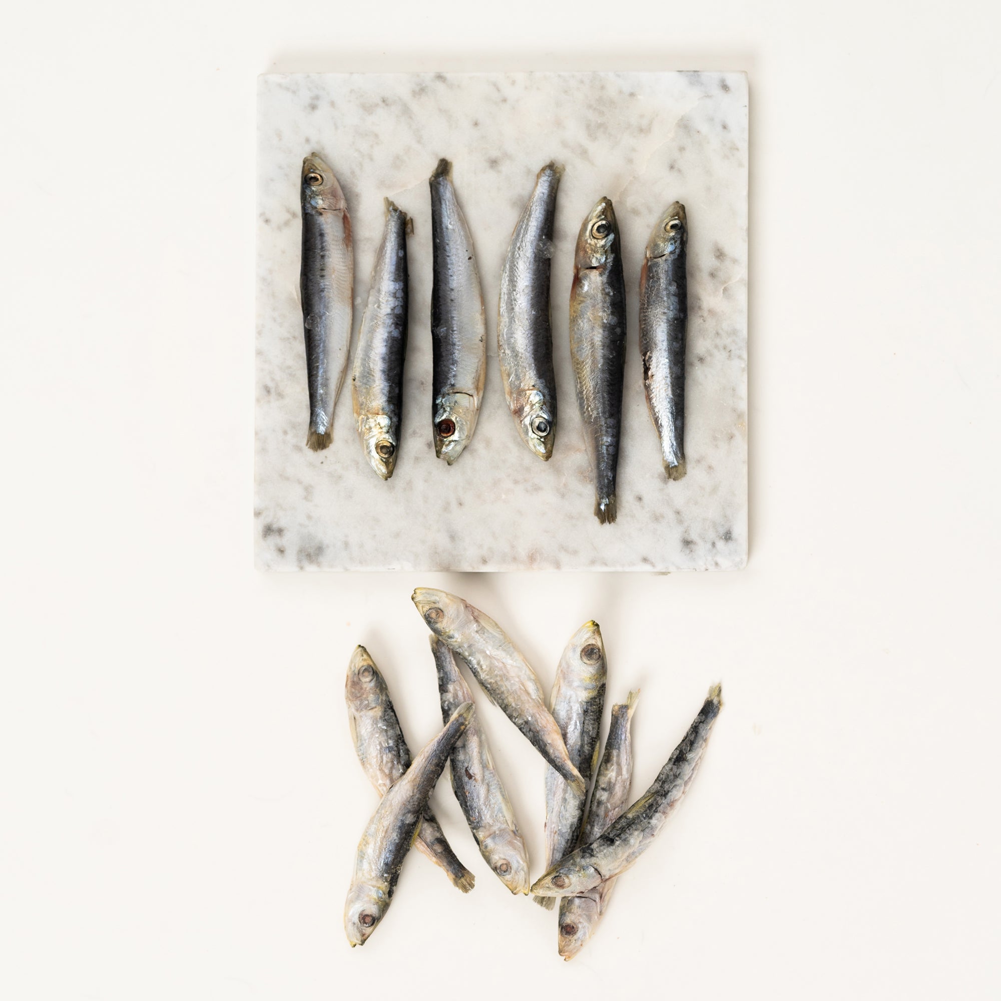 Sardines